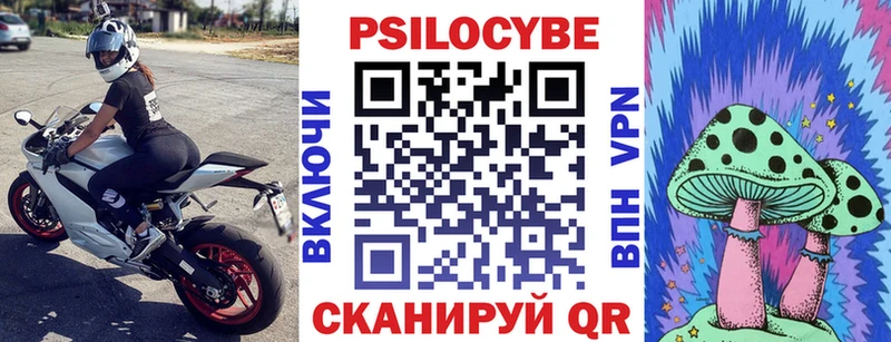 Псилоцибиновые грибы Psilocybe Малоархангельск